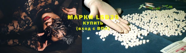 ГАЛЛЮЦИНОГЕННЫЕ ГРИБЫ Михайлов
