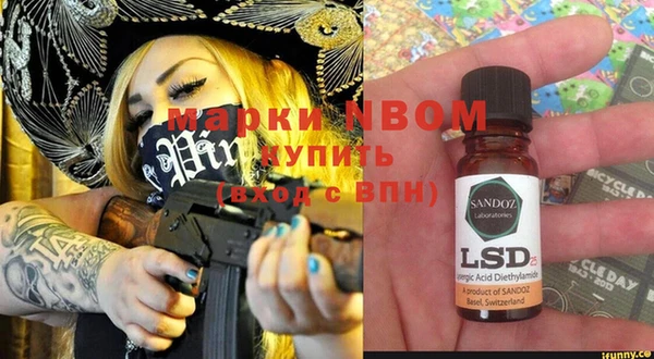 ГАЛЛЮЦИНОГЕННЫЕ ГРИБЫ Михайлов