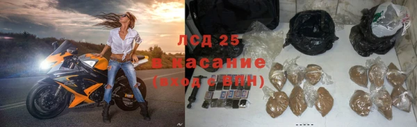 ГАЛЛЮЦИНОГЕННЫЕ ГРИБЫ Михайлов